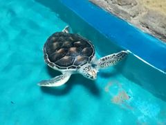 -泉城欧乐堡海洋极地世界