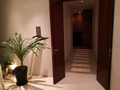 -丽思卡尔顿酒店泳池(金融街店)