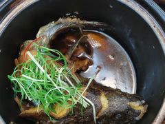 招牌香锅龙胆斑-鑫鸿达·海鲜闽菜热炒小馆(中山路店)