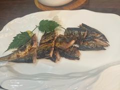 -黑松白鹿(金融街店)
