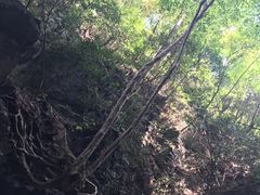 -藏龙百瀑风景区