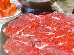 -红鼎坊·老成都火锅(新南门店)