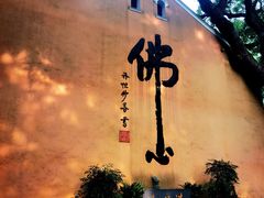 -普陀山雷迪森庄园