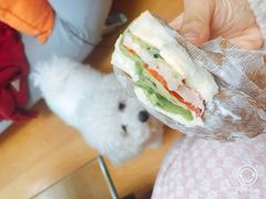 -多乐之日(田林东路店)