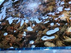 -聚盛源蒸汽海鲜火锅烤肉自助(巨川金海岸购物广场店)