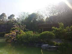 -吴淞炮台湾湿地森林公园烧烤区