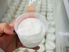 -洪馨椰子