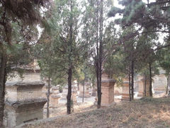 android_upload_pic-少林寺景区