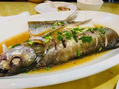 清蒸白鱼-王興記(中山路店)