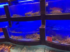 -御同亨酒楼·喜宴