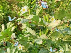 -前小桔亲子创意农场·草莓采摘·露营烧烤