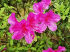 -荔湾区儿童公园