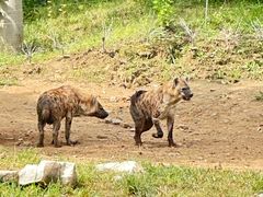 -北京野生动物园