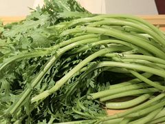 -蝎王府羊蝎子(西直门店)