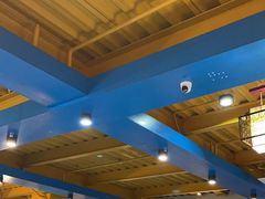 -马大胡子清真西北菜