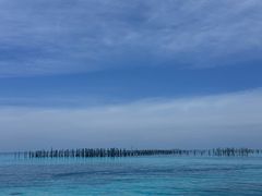 -卡帕莱度假村(西巴丹岛)