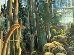 -北京植物园-展览温室