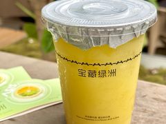 -宝藏绿洲(万象前海店)