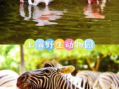 -上海野生动物园