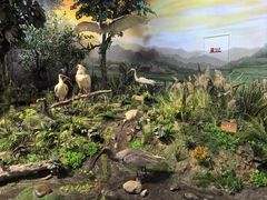 -陕西自然博物馆