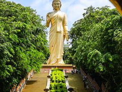 -西双版纳勐泐文化旅游区