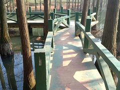 景点-九真山风景区