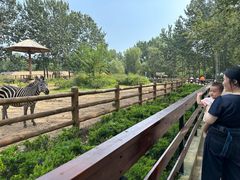 -大连森林动物园