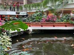 -广州白天鹅宾馆