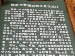 -御道口草原森林风景区