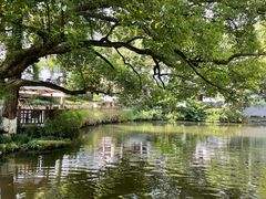 -杭州花家山庄