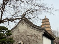 -大慈恩寺(大雁塔)