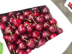 -上海龙吴水胜海发市场