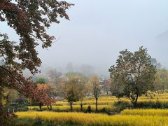 -塔川景区