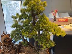 -顺峰(农展馆店)