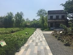 -田园东方蜜桃村的田野营地