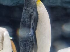 -郑州海洋馆