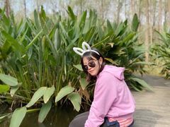 -合肥滨湖国家森林公园