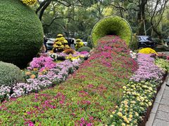 -杭州植物园