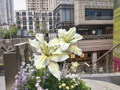 -中海环宇荟