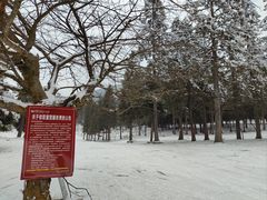 -武陵山森林公园