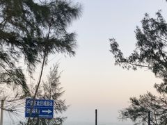 -西涌国际滨海旅游区