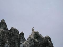 -千岛湖石林