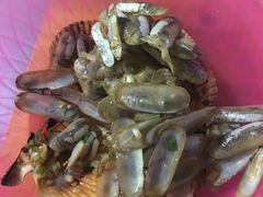 -有间冰室(侨港风情街店)