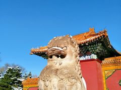 -北陵公园