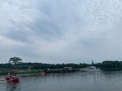 -大塘金香草谷