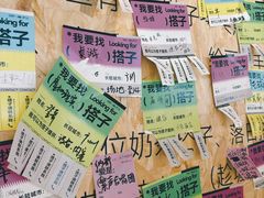 -珠江琶醍