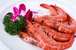 -梓爱月子中心(花都店)