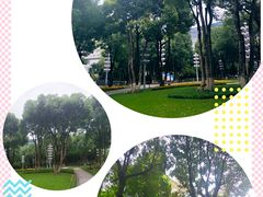 -重庆市江北嘴中央商务区中央公园