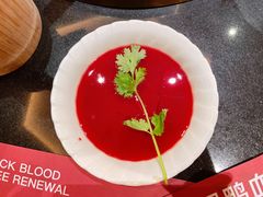 鲜鸭肠-红运火锅·中国名火锅(中防万宝城店)