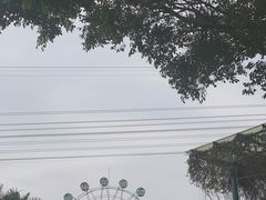-长鹿旅游休博园